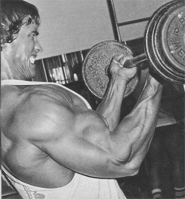 Железный Арни тоже активно использовал читинг в своих тренировках