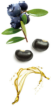 Витамин C Этот самый известный витамин является мощным антиоксидантом и играет существенную роль в процессе синтеза коллагена в соединительной ткани, поэтому он так важен для здоровья кожи, зубов, костей и кровеносных сосудов. Также он помогает организму получать железо из пищи. 
Что нужно есть: Фрукты, ягоды, зелень и корнеплоды.
