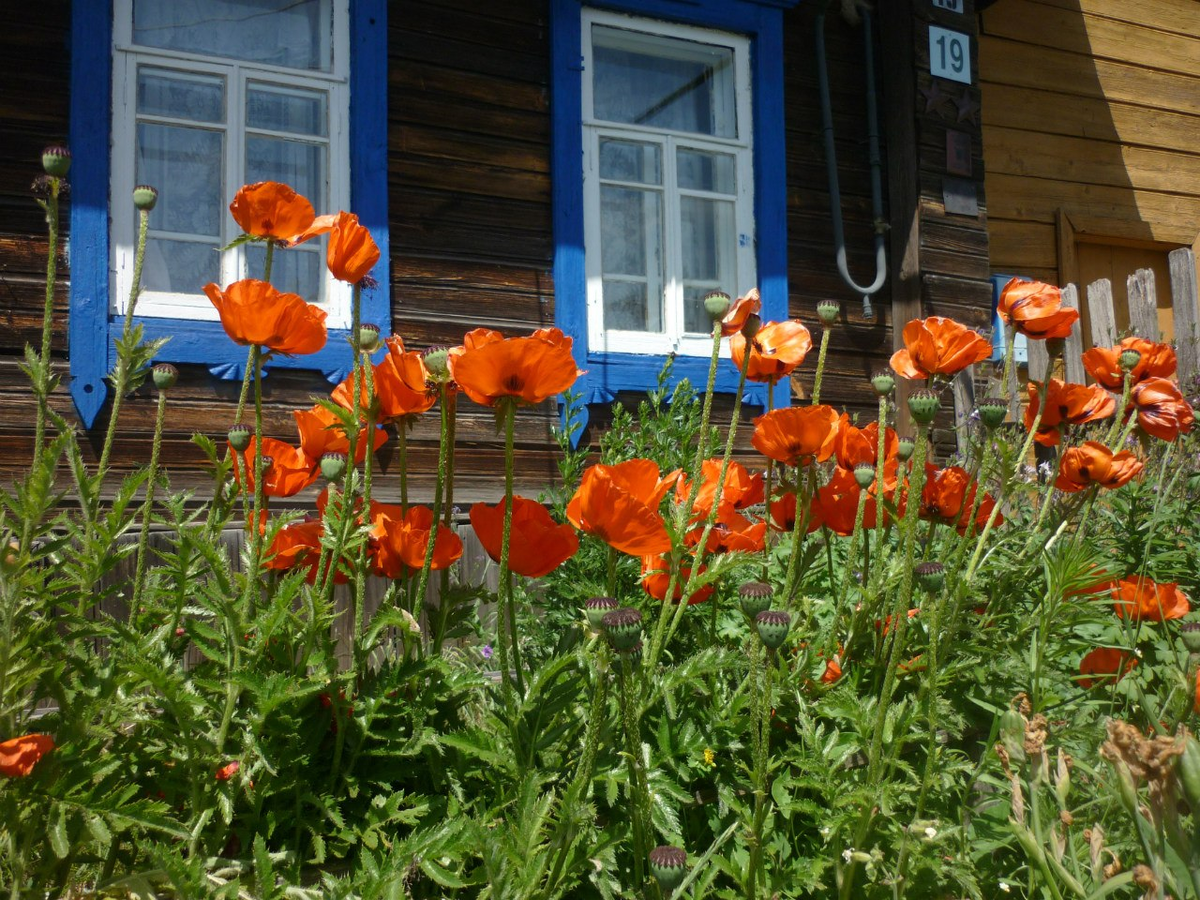 Вот оно, мое счастье)))