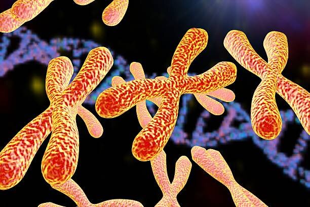 Иллюстрация заимствована с сайта  www.istockphoto.com