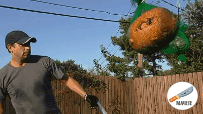 Например, с тыквой