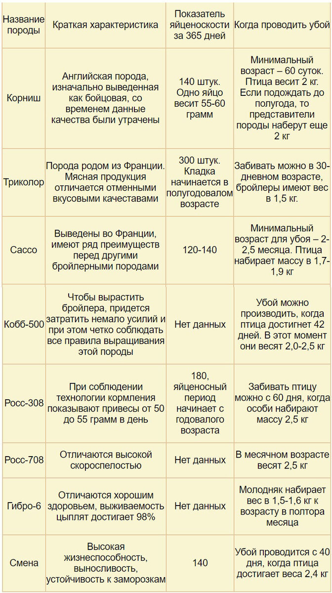 Комбикорм для ваших цыплят от А до Я