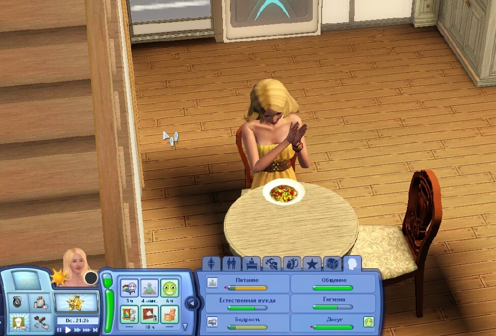  The Sims 3  VK Play