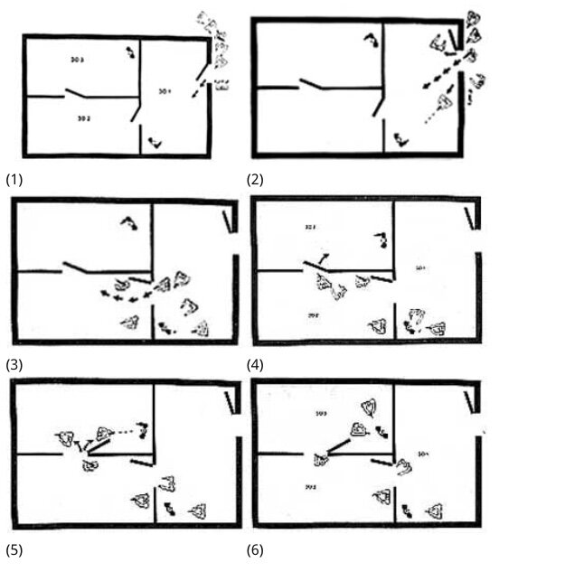 Варианты штурма