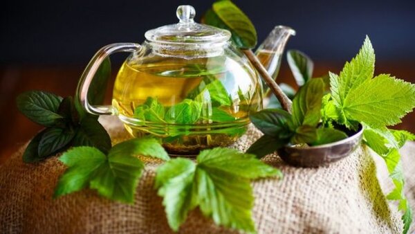 3 лечебных свойства чая из листьев черной смородины