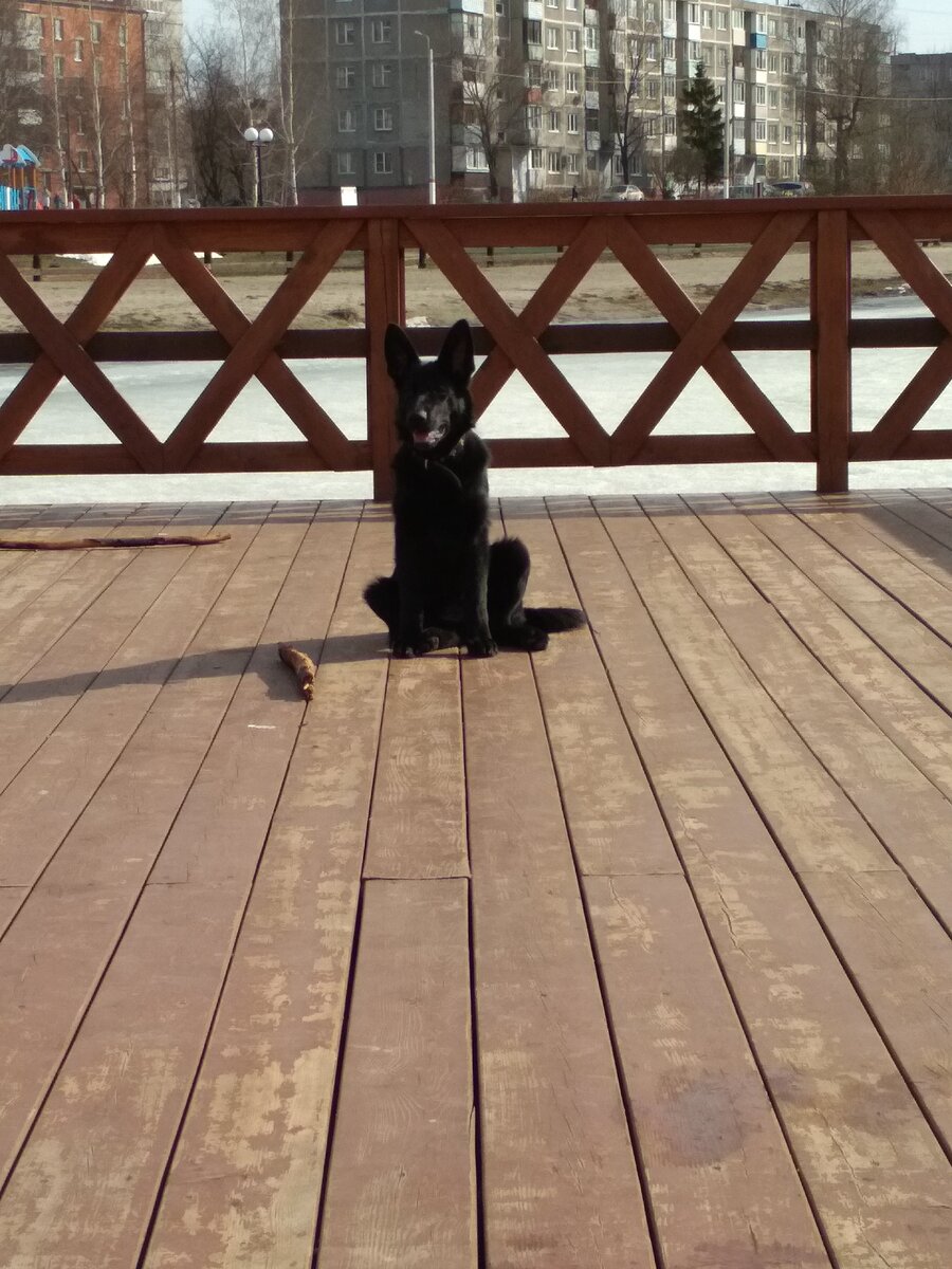 Луна на прогулке, возраст 5.5 мес. 