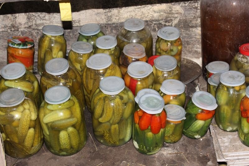 квасильный цех постепенно отправляет на хранение новые порции своей продукции