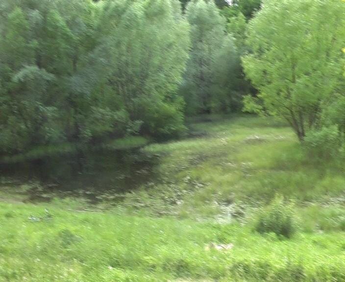 В Кусковском парке в результате чистки пруда бульдозером пришлось переименовать его из "Вешняковского" в "Сухой". Этот пруд был второй половиной двучастной композиции усадьбу Кусково: большой парадный Дворцовый пруд с регулярным французским парком и маленький лесной Вешняковский, вокруг которого был английский пейзажный парк,имитировавший лесные красоты. Пруды соединялись каналом, вдоль которого растительность постепенно переходила от строгой геометрии к естественной первозданности. Высох пруд, сломалась композиция, английскую часть парка уничтожают благоустройством и стараются замолчать факт, что это памятник садово-паркового искусства (в основном благодаря той самой двучастной композиции!)