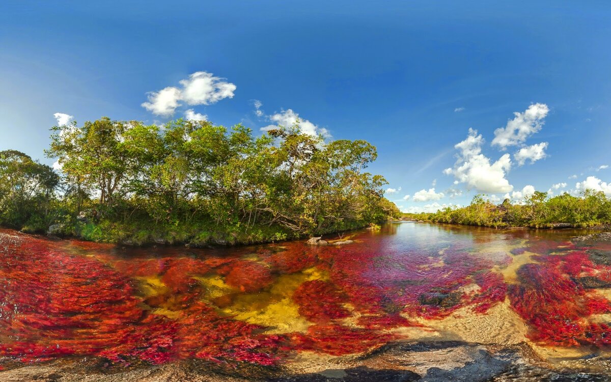 Источник фото: https://4.bp.blogspot.com/-XTp_EBoPMzA/VRBomYvNDrI/AAAAAAABE9s/dCxa-hbVqvQ/s00/rio-cano-cristales-rio-de-colombia.jpg