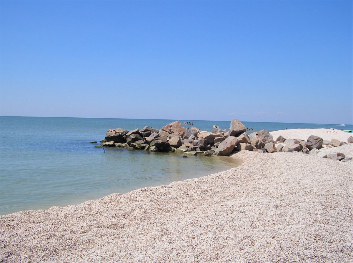 фото из открытых источников yandex.ru