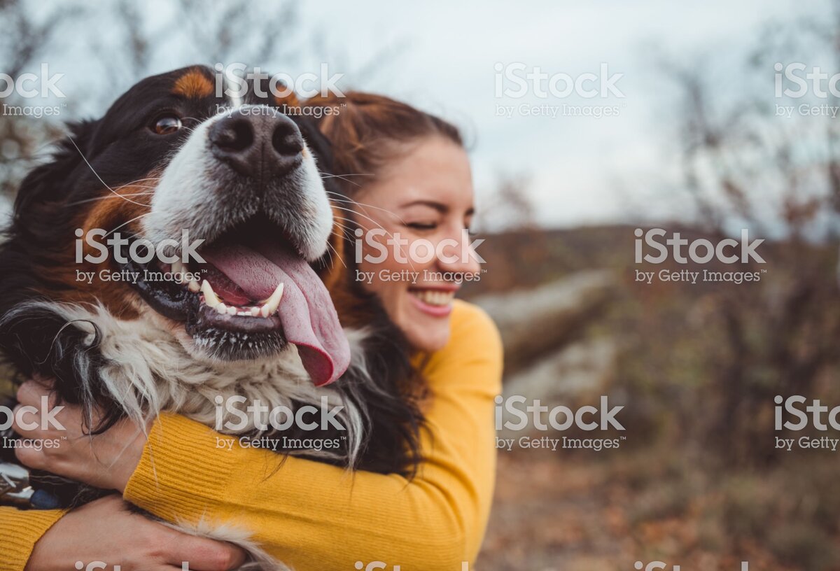 https://www.istockphoto.com/ru/%D1%84%D0%BE%D1%82%D0%BE/young-woman-with-dog-gm1060529042-283486178