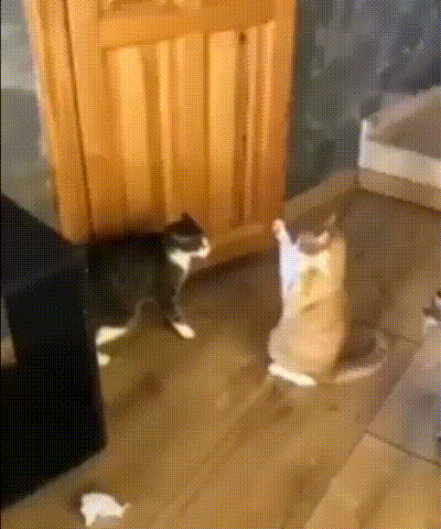 Бесконтактный бой)
😊😊😊😊😊😊😊😊😊😊😊😊😊😊😊


