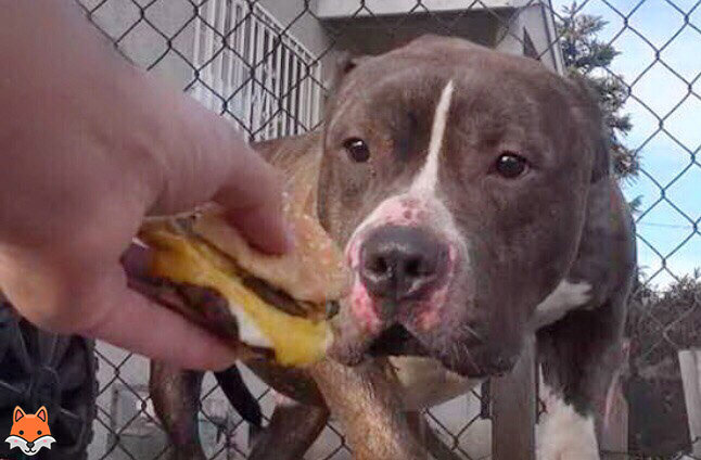 Вкуснятина!