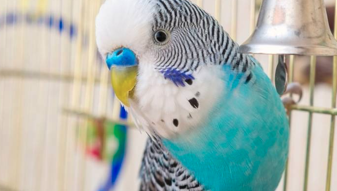 фото из яндекса