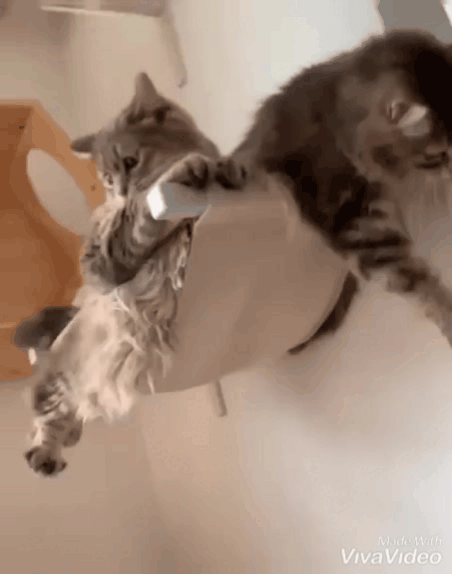 ну посиди ты спокойно...