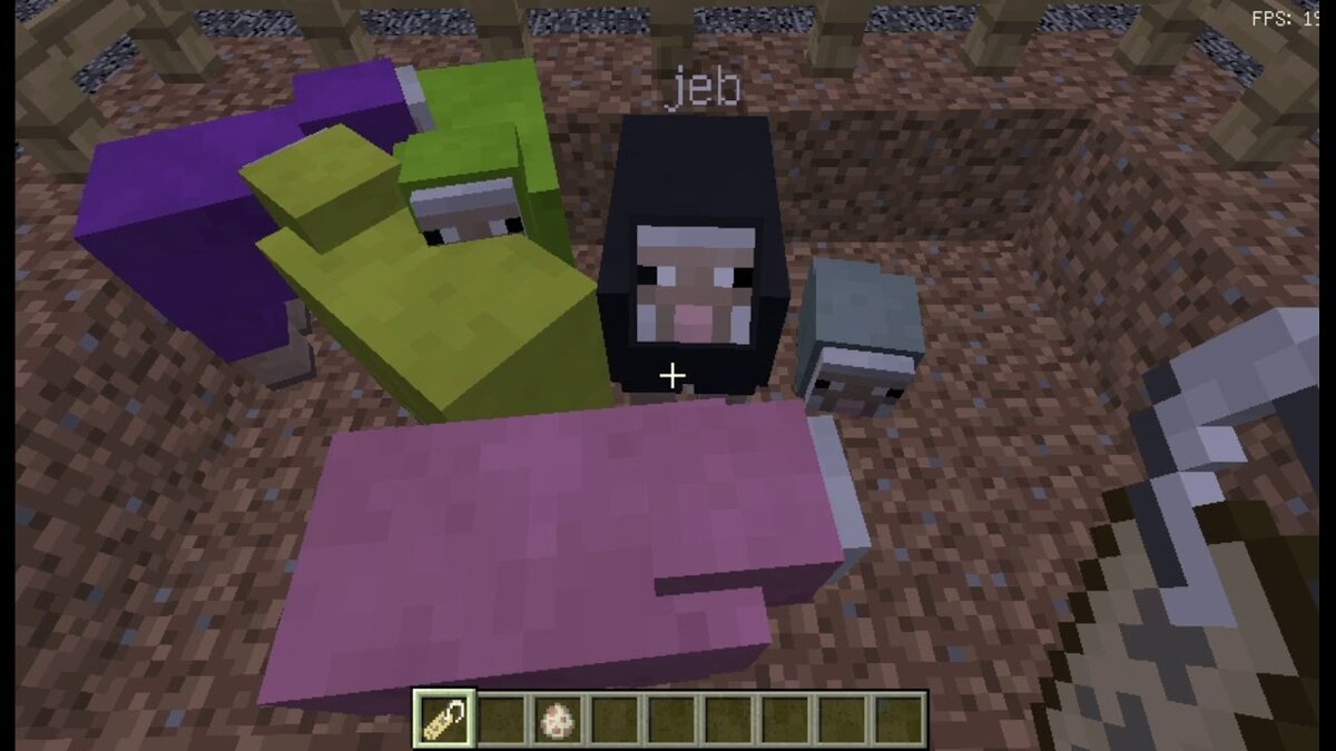 Радужные овцы (Взято из Яндекса)