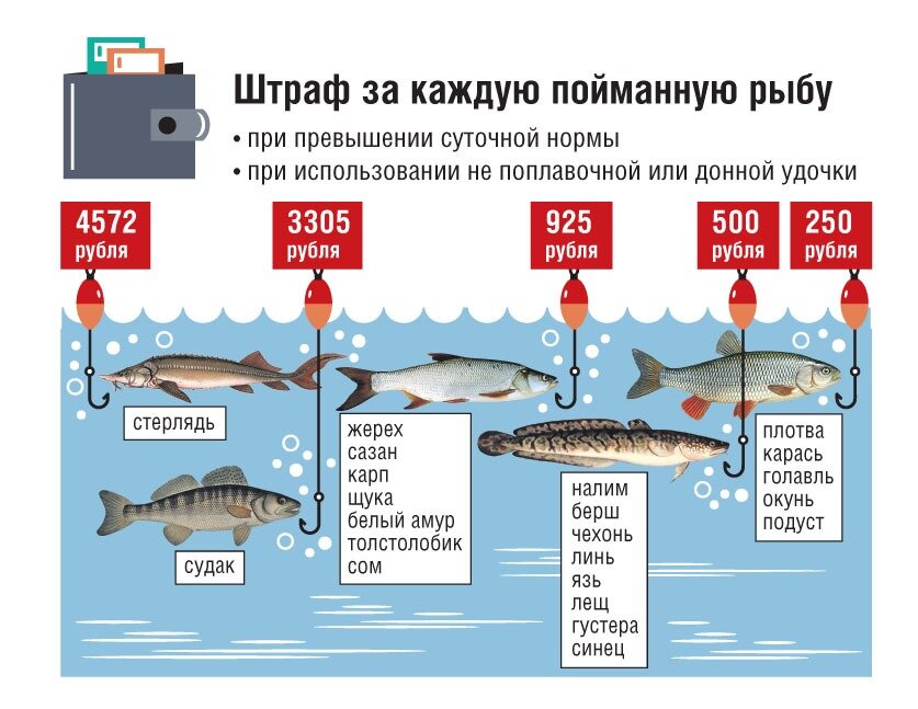 На что можно ловить в нерестовый