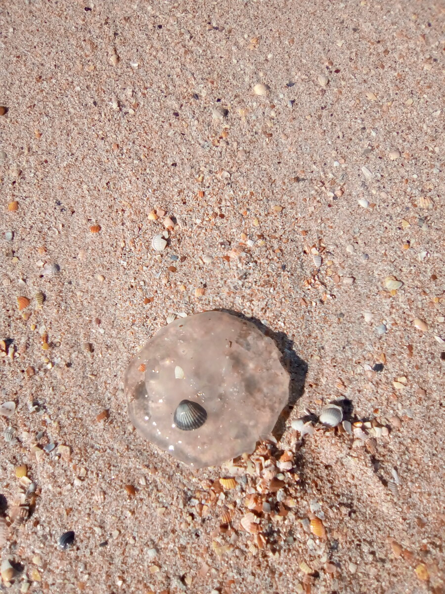 Личное фото.