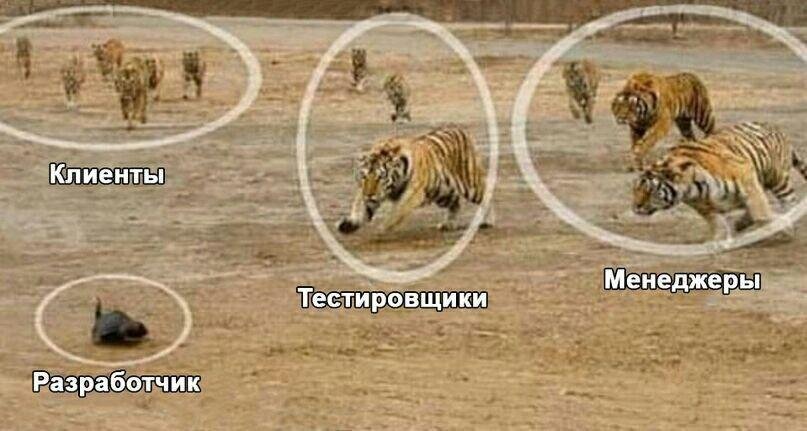 Реальность разрабов в современном мире разработки......