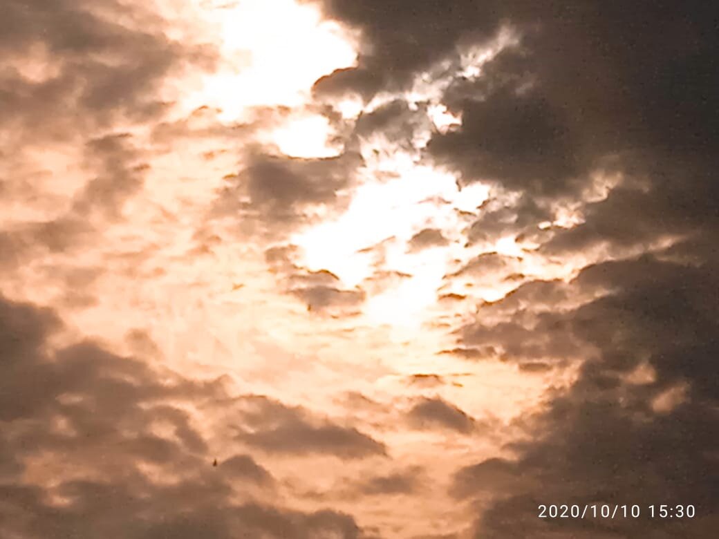 Личное фото автора