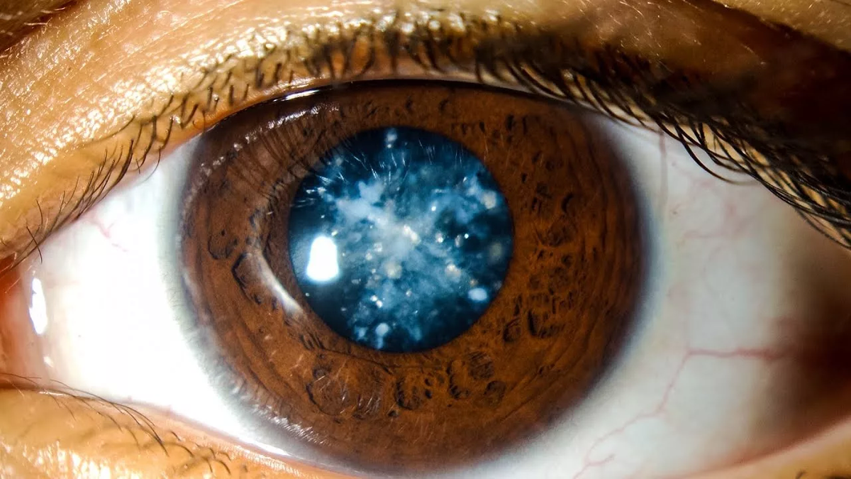 фото с сайта mirzverej.ru