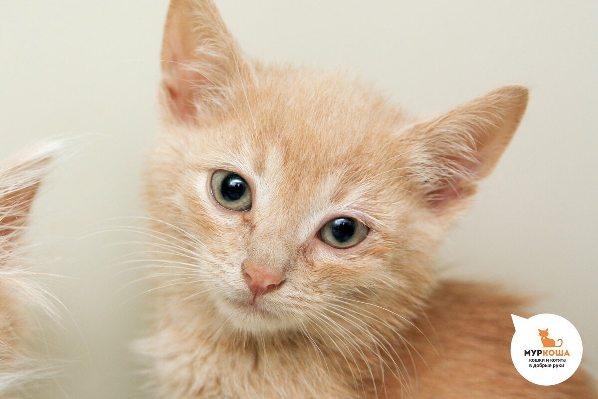 Нежный спелый фрукт :)