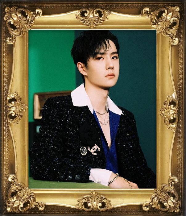 Королевское достоинство🤴 Фотосессия домашнего концерта Yehua 17 июля 2021 года (рамка добавлена автором😊)