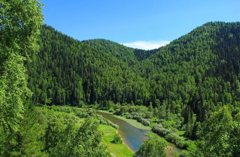 Горная Шория, Кемеровская область. Источник: yandex.ru/images