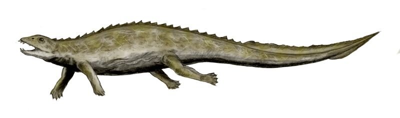 Плакодус косплеит морскую игуану