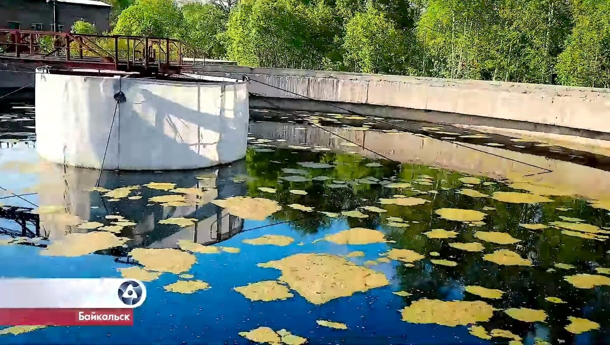 Комбинат был закрыт в 2013 году после экспертизы — Project SFERA Live — Подписывайтесь...