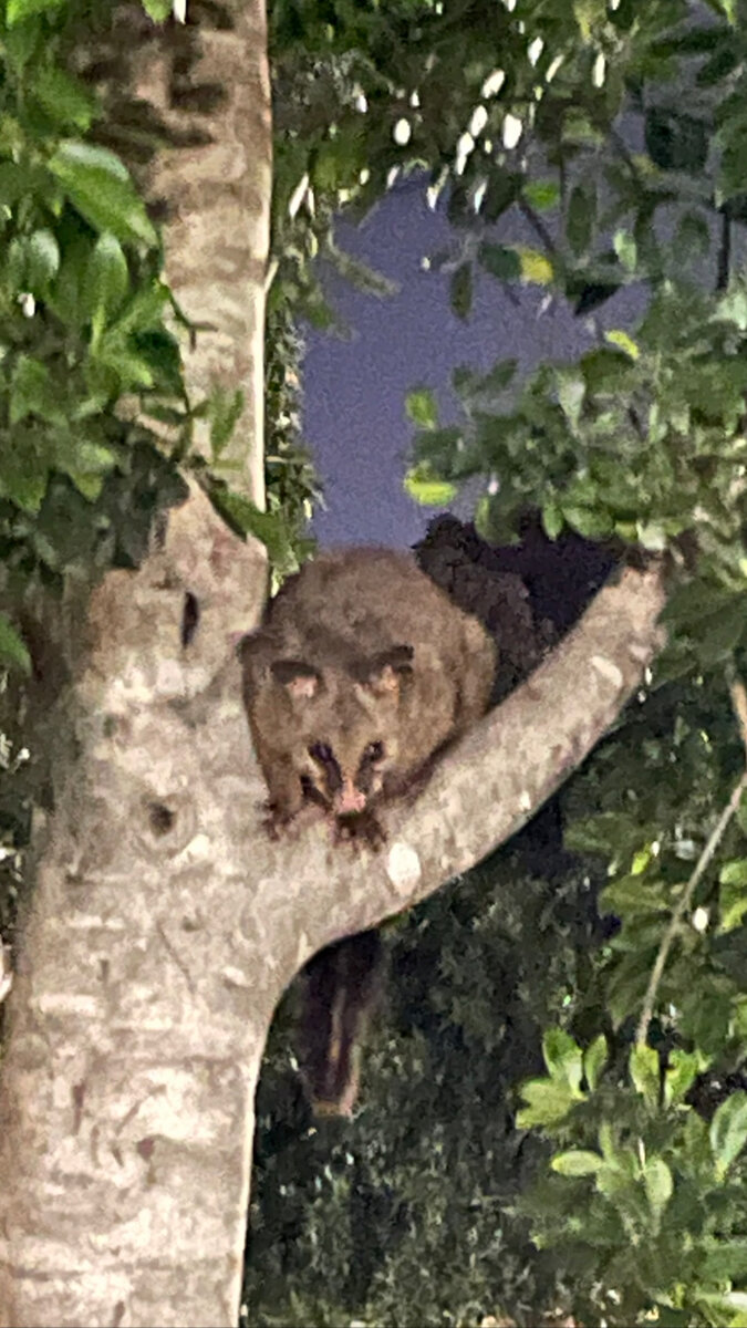 Родные пенаты малыша :)!