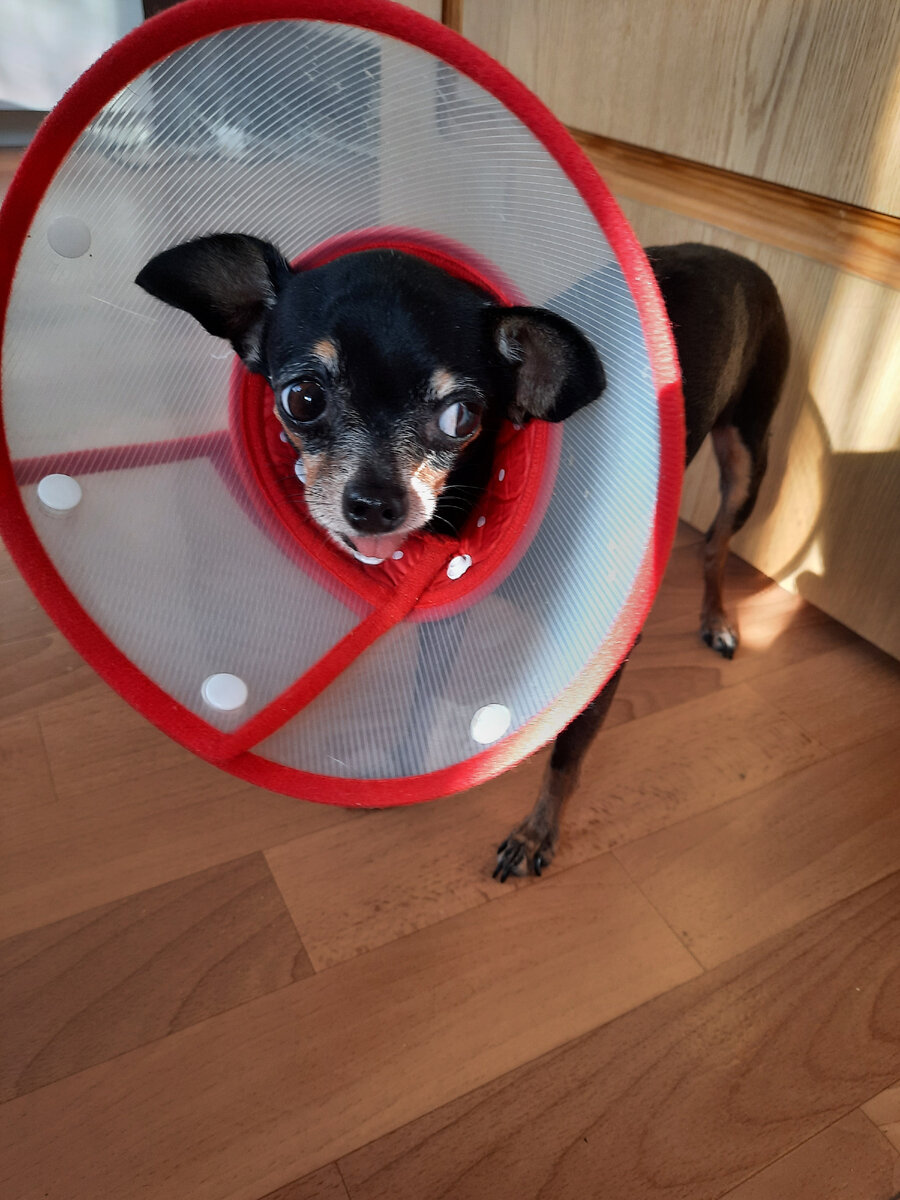 Авторское фото 