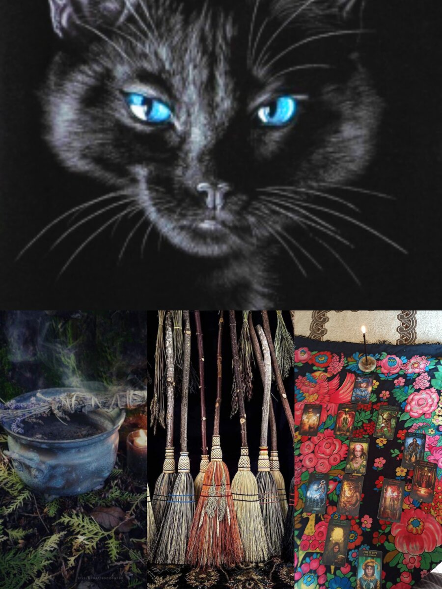 Фотоколлаж автора статьи