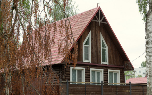 Фото: Valeriya_Chistyakova/shutterstock.com 