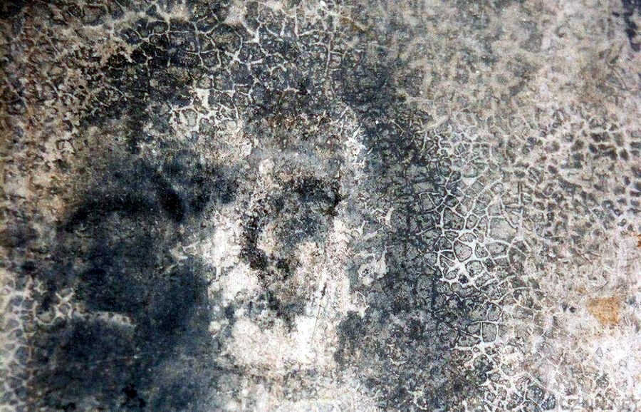 Бельмес – загадка лиц (яндекс картинки)