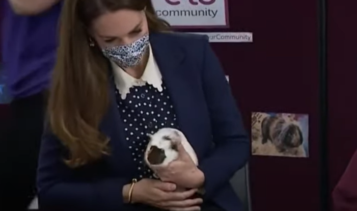 Кейт Миддлтон с морской свинкой (не со своей) - кадр из видео https://youtu.be/0gLrHAMrL5E