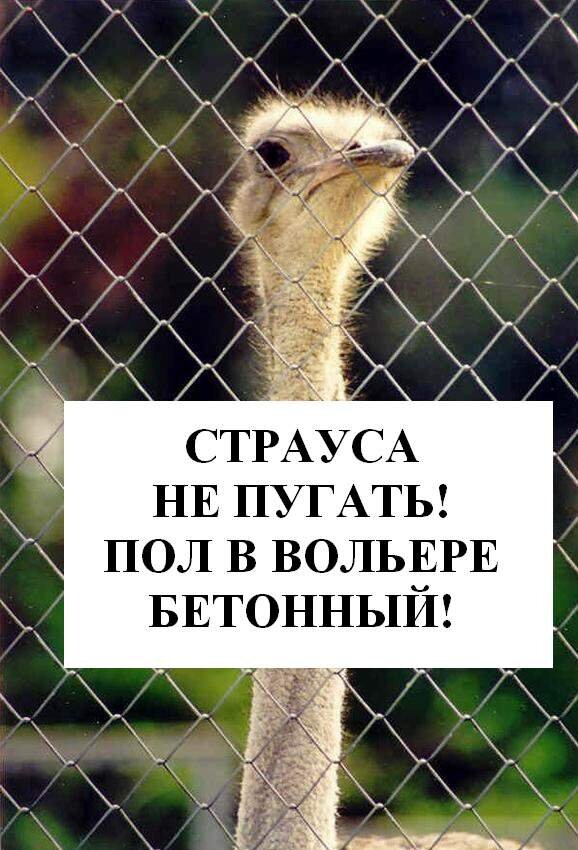 Картинка из открытых источников.