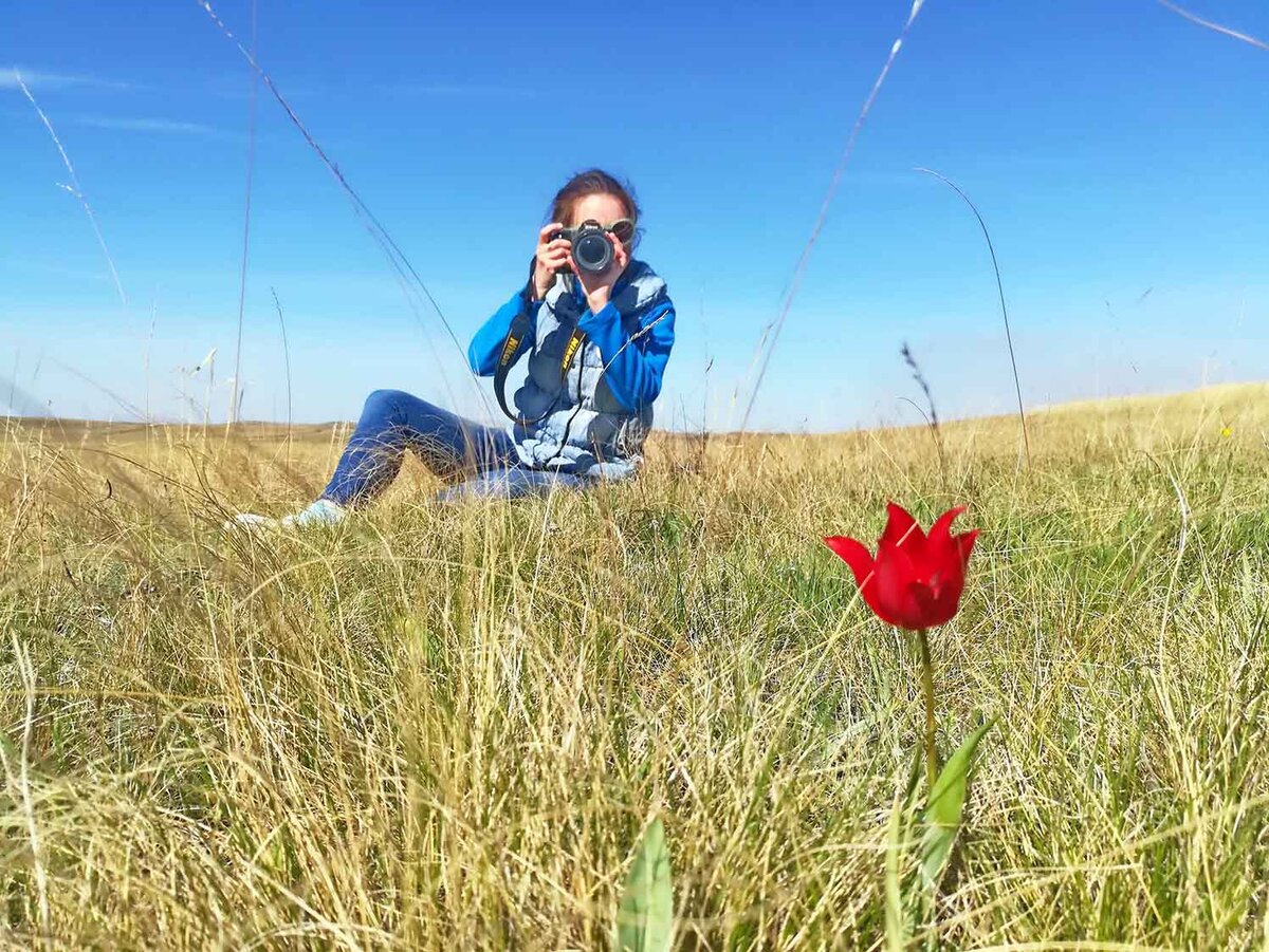 Тюльпан Шренка нельзя срывать. Это редкий вид. Листайте вправо, чтобы увидеть ещё фото.