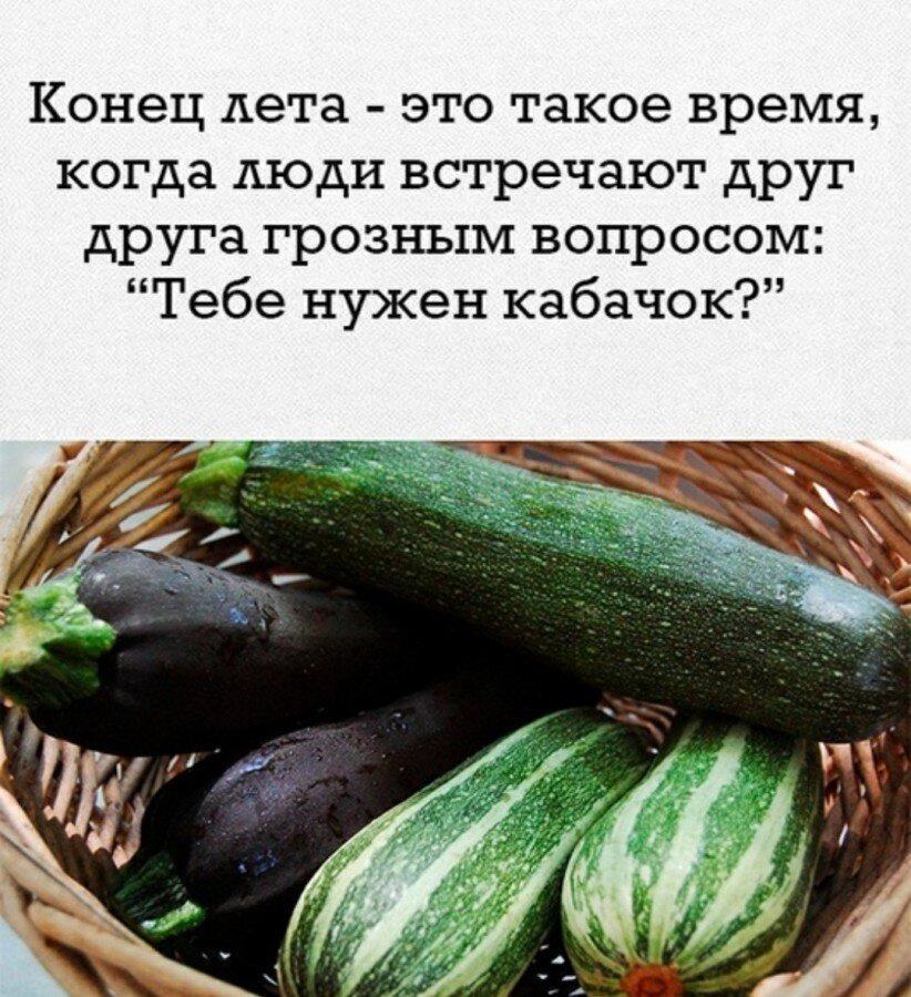 Рецепт кто не любит кабачки