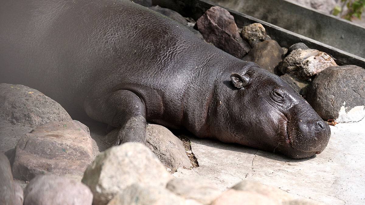    Фото: Александр Авилов / АГН Москва