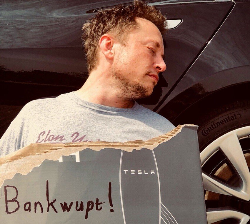 Фото: @elonmusk 