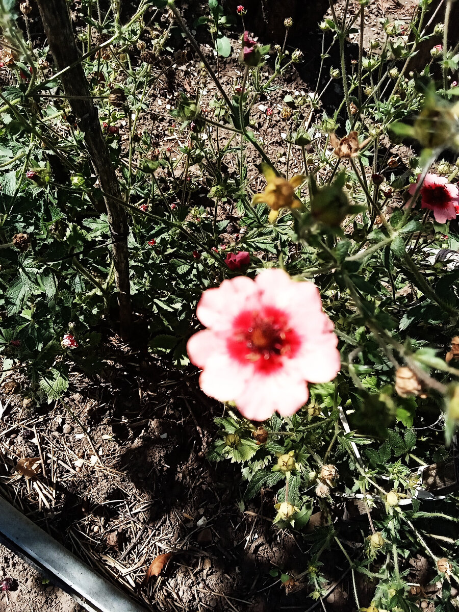 фото автора канала