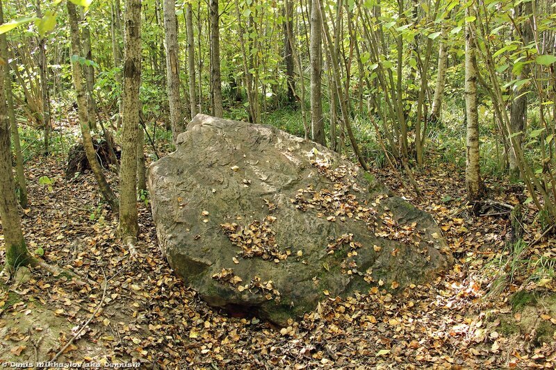 Старковский Синь-камень это мегалит, который обнаружил подмосковный краевед И.Д. Маланин. Этот камень являет собой большую гранитную плиту размерами 2,5 x 2 x 0,5 м. Камень принес сюда ледник.