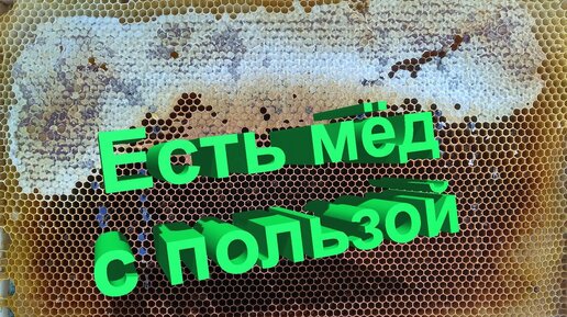 Профессор Кашковский: Как употреблять мёд для пользы и какой мёд полезнее?