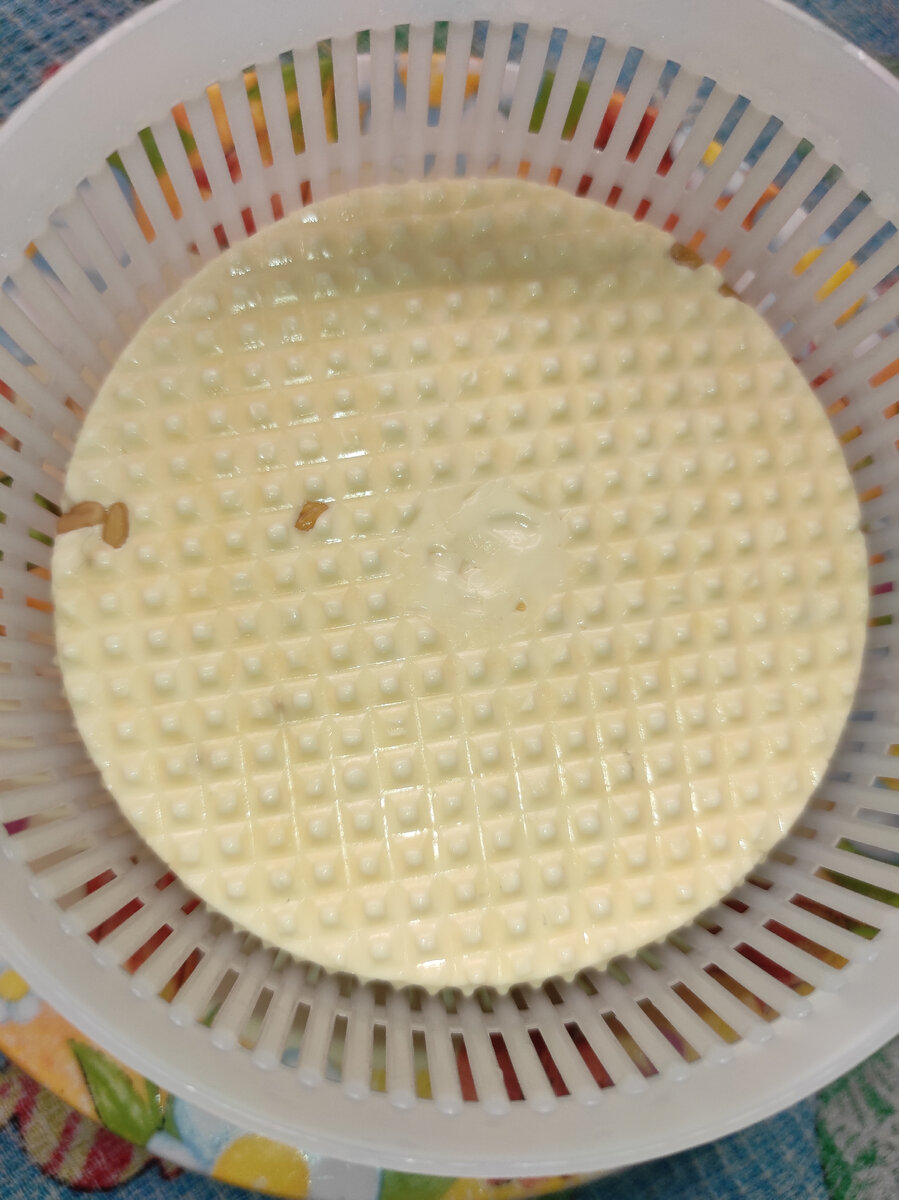 Качотта с пажитником