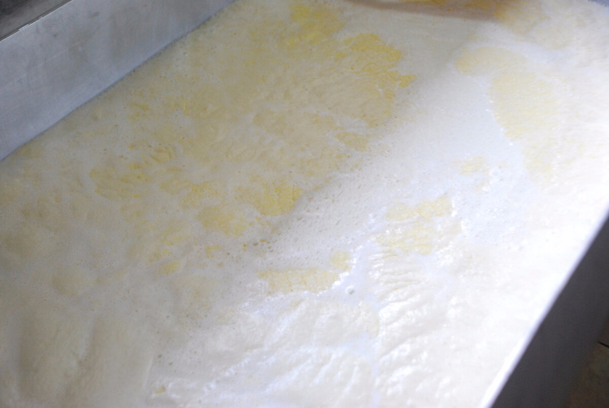 Налить молоко в кастрюлю, довести до 95-ти градусов Цельсия, сверху образуется пленка желто-белого цвета, и поднимается пенка. Но ни в коем случае молоко не должно закипать! После этого нужно убавить огонь/уменьшить нагрев плитки: