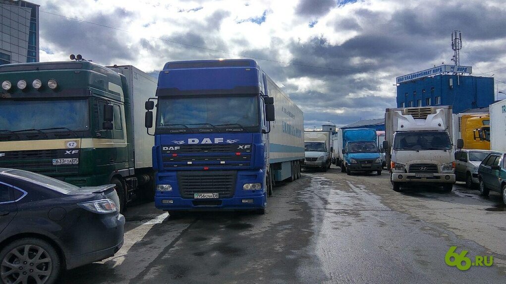 Фото: Дмитрий Антоненков