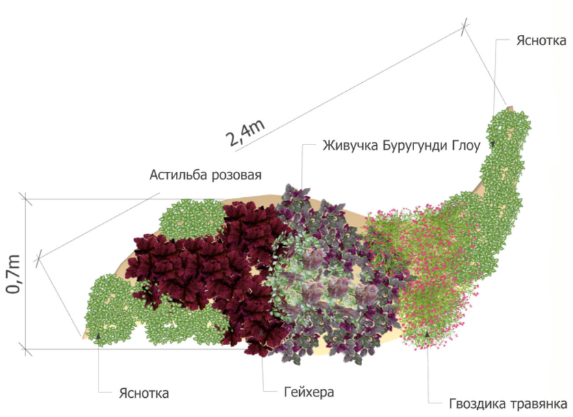 Миксбордер непрерывного цветения