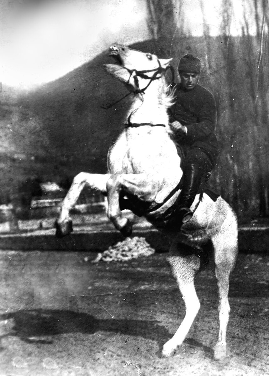 Фрагмент из фильма «Алим», посвящённого Алиму Айдамаку