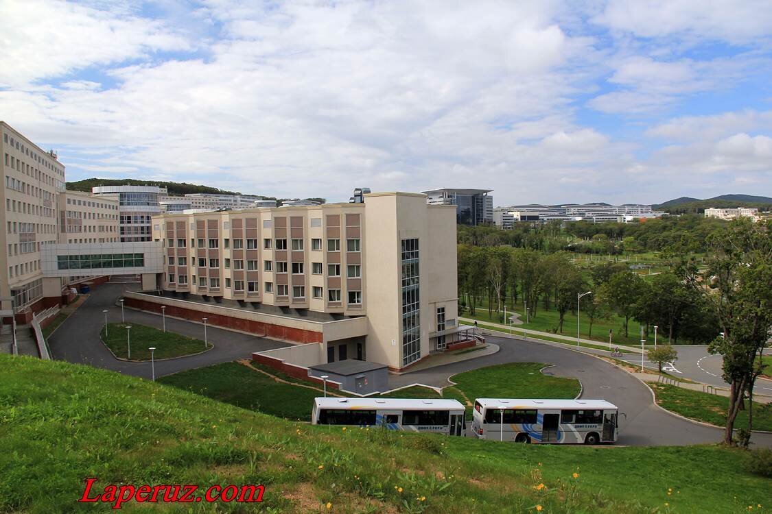 Двфу городские общежития. ДВФУ Дальневосточный федеральный университет общежитие. ДВФУ общежитие на острове русском. Кампус ДВФУ остров русский общежития. 9 Корпус ДВФУ.